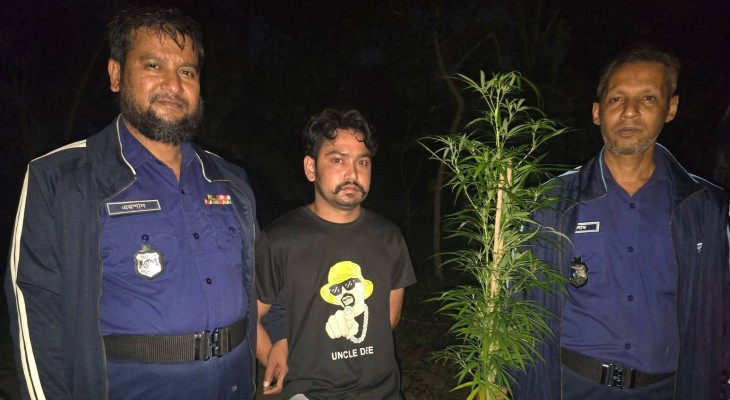 কুমিল্লার ব্রাহ্মণপাড়ায় গাঁজাসহ যুবক গ্রেপ্তার